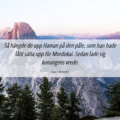 Picture 06 - Ester 7:10 SV1917 - Så hängde de upp Haman på den påle, som han - Bible Verse Picture