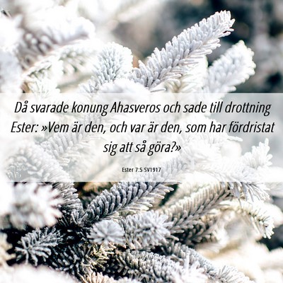 Picture 06 - Ester 7:5 SV1917 - Då svarade konung Ahasveros och sade till - Bible Verse Picture