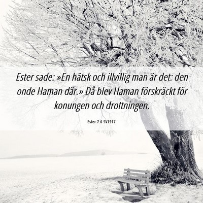 Picture 06 - Ester 7:6 SV1917 - Ester sade: »En hätsk och illvillig man är - Bible Verse Picture