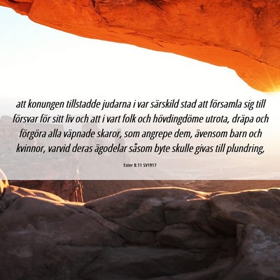 Picture 06 - Ester 8:11 SV1917 - att konungen tillstadde judarna i var särskild - Bible Verse Picture