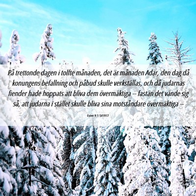 Picture 06 - Ester 9:1 SV1917 - På trettonde dagen i tolfte månaden, det är - Bible Verse Picture
