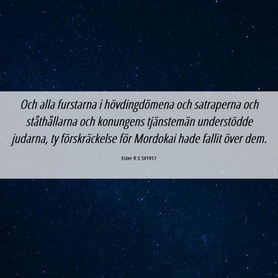 Picture 06 - Ester 9:3 SV1917 - Och alla furstarna i hövdingdömena och - Bible Verse Picture