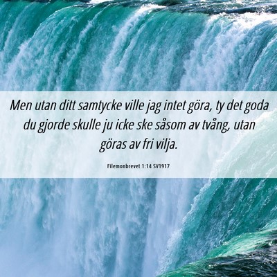 Picture 06 - Filemonbrevet 1:14 SV1917 - Men utan ditt samtycke ville jag intet göra, ty - Bible Verse Picture