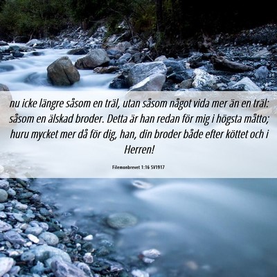 Picture 06 - Filemonbrevet 1:16 SV1917 - nu icke längre såsom en träl, utan såsom - Bible Verse Picture