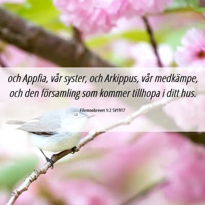 Picture 06 - Filemonbrevet 1:2 SV1917 - och Appfia, vår syster, och Arkippus, vår - Bible Verse Picture