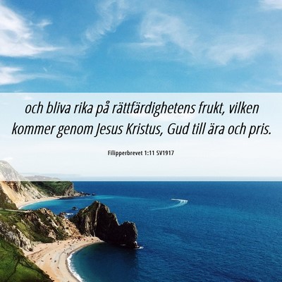 Picture 06 - Filipperbrevet 1:11 SV1917 - och bliva rika på rättfärdighetens frukt, - Bible Verse Picture