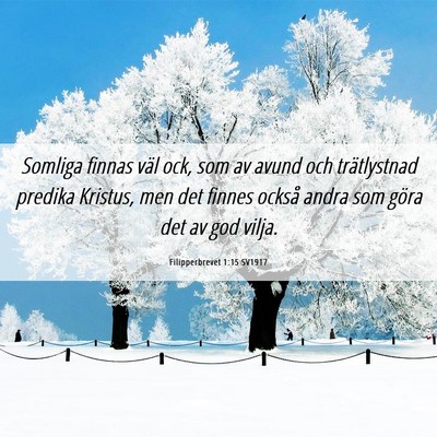 Picture 06 - Filipperbrevet 1:15 SV1917 - Somliga finnas väl ock, som av avund och - Bible Verse Picture
