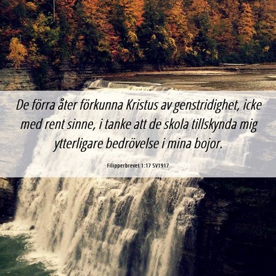 Picture 06 - Filipperbrevet 1:17 SV1917 - De förra åter förkunna Kristus av - Bible Verse Picture