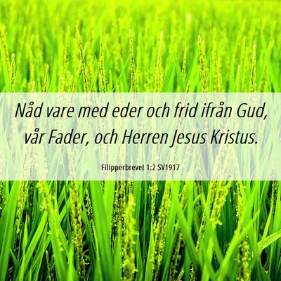 Picture 06 - Filipperbrevet 1:2 SV1917 - Nåd vare med eder och frid ifrån Gud, vår - Bible Verse Picture