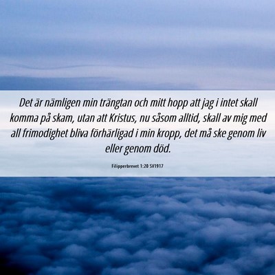Picture 06 - Filipperbrevet 1:20 SV1917 - Det är nämligen min trängtan och mitt hopp att - Bible Verse Picture