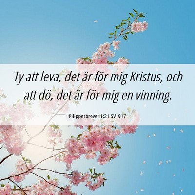 Picture 06 - Filipperbrevet 1:21 SV1917 - Ty att leva, det är för mig Kristus, och att - Bible Verse Picture