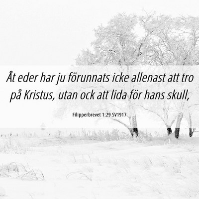 Picture 06 - Filipperbrevet 1:29 SV1917 - Åt eder har ju förunnats icke allenast att tro - Bible Verse Picture