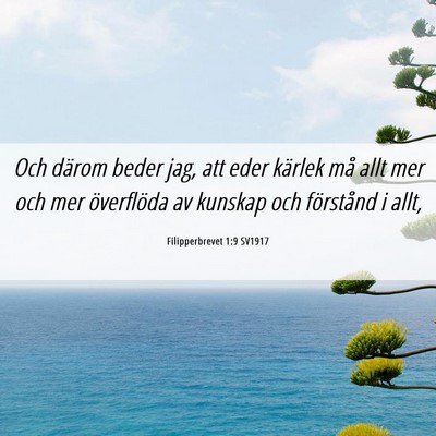 Picture 06 - Filipperbrevet 1:9 SV1917 - Och därom beder jag, att eder kärlek må allt - Bible Verse Picture