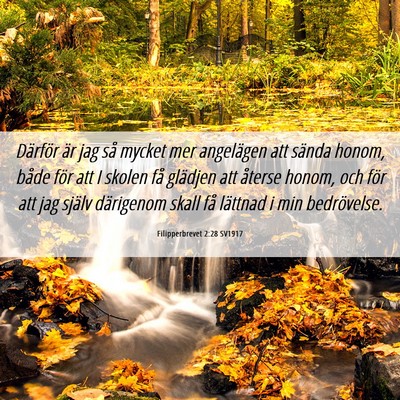 Picture 06 - Filipperbrevet 2:28 SV1917 - Därför är jag så mycket mer angelägen att - Bible Verse Picture
