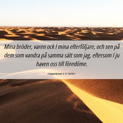 Picture 06 - Filipperbrevet 3:17 SV1917 - Mina bröder, varen ock I mina efterföljare, och - Bible Verse Picture