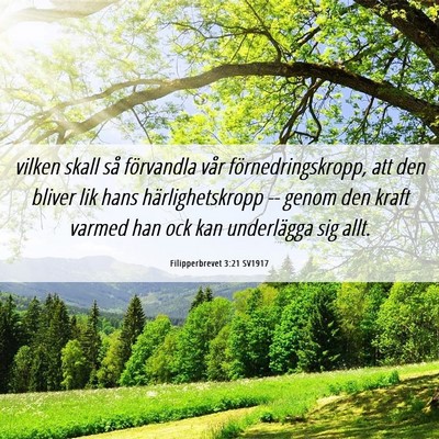 Picture 06 - Filipperbrevet 3:21 SV1917 - vilken skall så förvandla vår - Bible Verse Picture