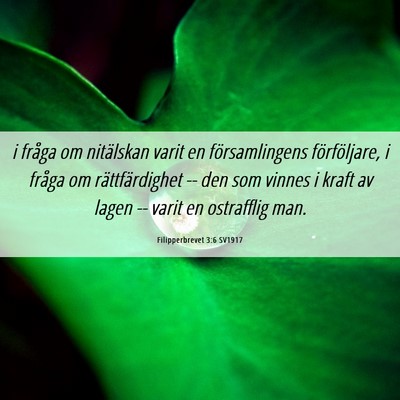 Picture 06 - Filipperbrevet 3:6 SV1917 - i fråga om nitälskan varit en församlingens - Bible Verse Picture