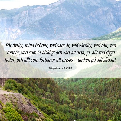 Picture 06 - Filipperbrevet 4:8 SV1917 - För övrigt, mina bröder, vad sant är, vad - Bible Verse Picture