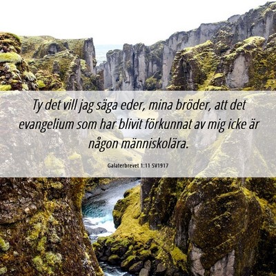 Picture 06 - Galaterbrevet 1:11 SV1917 - Ty det vill jag säga eder, mina bröder, att det - Bible Verse Picture
