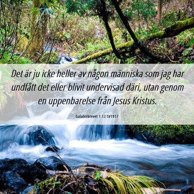 Picture 06 - Galaterbrevet 1:12 SV1917 - Det är ju icke heller av någon människa som - Bible Verse Picture
