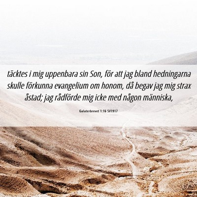 Picture 06 - Galaterbrevet 1:16 SV1917 - täcktes i mig uppenbara sin Son, för att jag - Bible Verse Picture