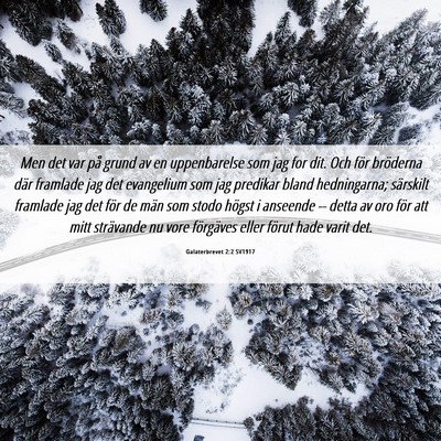 Picture 06 - Galaterbrevet 2:2 SV1917 - Men det var på grund av en uppenbarelse som jag - Bible Verse Picture