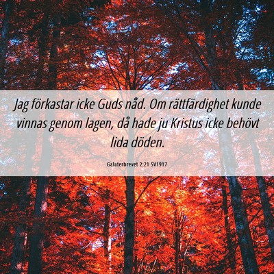 Picture 06 - Galaterbrevet 2:21 SV1917 - Jag förkastar icke Guds nåd. Om rättfärdighet - Bible Verse Picture
