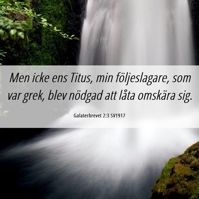 Picture 06 - Galaterbrevet 2:3 SV1917 - Men icke ens Titus, min följeslagare, som var - Bible Verse Picture