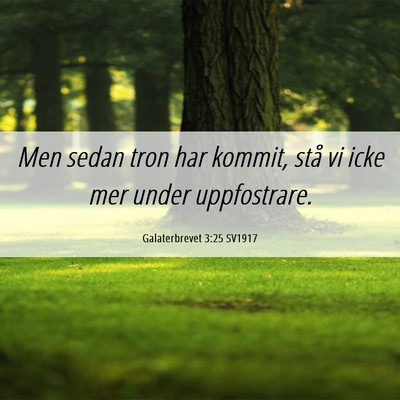 Picture 06 - Galaterbrevet 3:25 SV1917 - Men sedan tron har kommit, stå vi icke mer under - Bible Verse Picture