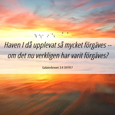 Picture 06 - Galaterbrevet 3:4 SV1917 - Haven I då upplevat så mycket förgäves -- om - Bible Verse Picture