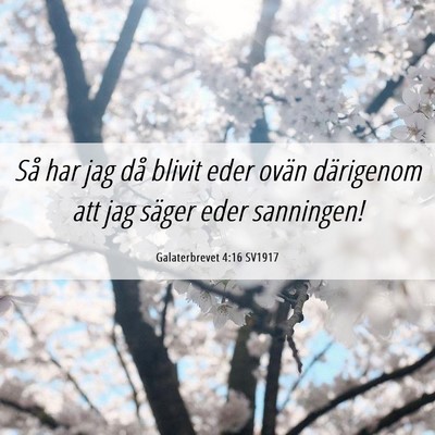 Picture 06 - Galaterbrevet 4:16 SV1917 - Så har jag då blivit eder ovän därigenom att - Bible Verse Picture