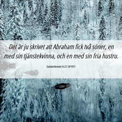 Picture 06 - Galaterbrevet 4:22 SV1917 - Det är ju skrivet att Abraham fick två söner, - Bible Verse Picture
