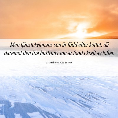 Picture 06 - Galaterbrevet 4:23 SV1917 - Men tjänstekvinnans son är född efter köttet, - Bible Verse Picture