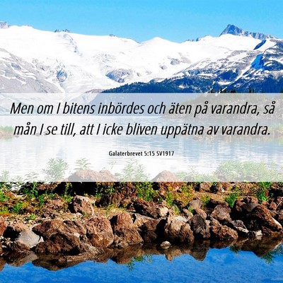 Picture 06 - Galaterbrevet 5:15 SV1917 - Men om I bitens inbördes och äten på varandra, - Bible Verse Picture