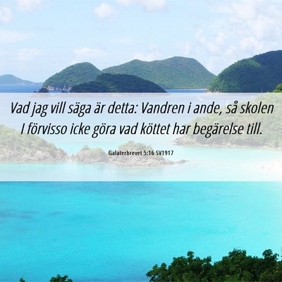 Picture 06 - Galaterbrevet 5:16 SV1917 - Vad jag vill säga är detta: Vandren i ande, så - Bible Verse Picture
