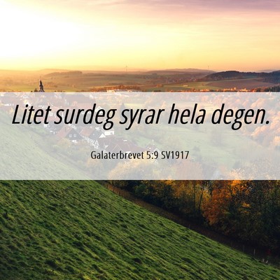 Picture 06 - Galaterbrevet 5:9 SV1917 - Litet surdeg syrar hela - Bible Verse Picture