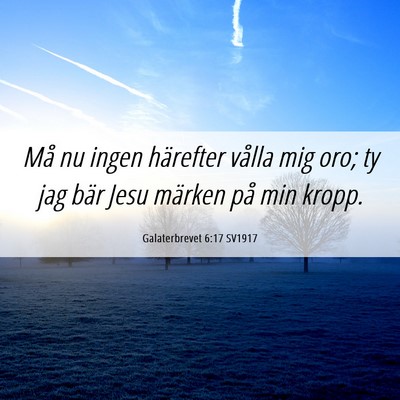 Picture 06 - Galaterbrevet 6:17 SV1917 - Må nu ingen härefter vålla mig oro; ty jag - Bible Verse Picture