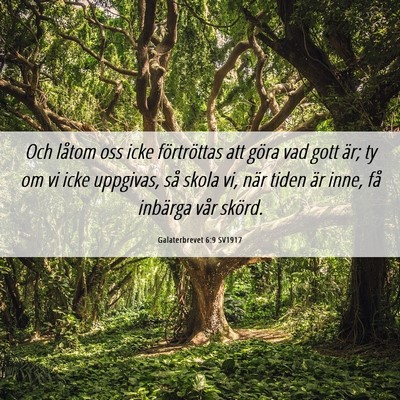 Picture 06 - Galaterbrevet 6:9 SV1917 - Och låtom oss icke förtröttas att göra vad - Bible Verse Picture
