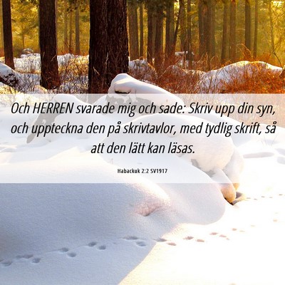 Picture 06 - Habackuk 2:2 SV1917 - Och HERREN svarade mig och sade: Skriv upp din - Bible Verse Picture