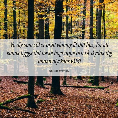 Picture 06 - Habackuk 2:9 SV1917 - Ve dig som söker orätt vinning åt ditt hus, - Bible Verse Picture