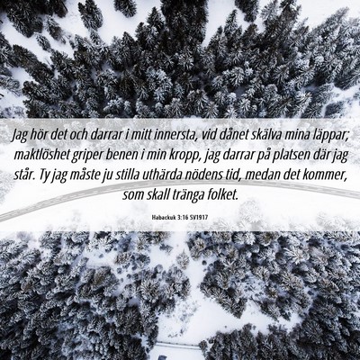 Picture 06 - Habackuk 3:16 SV1917 - Jag hör det och darrar i mitt innersta, vid - Bible Verse Picture