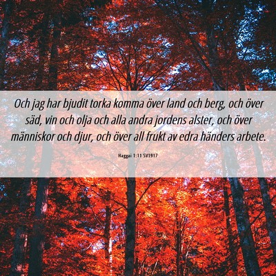 Picture 06 - Haggai 1:11 SV1917 - Och jag har bjudit torka komma över land och - Bible Verse Picture