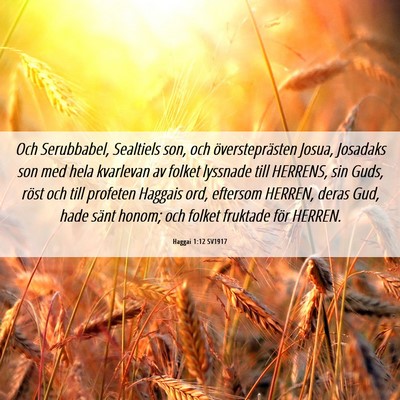 Picture 06 - Haggai 1:12 SV1917 - Och Serubbabel, Sealtiels son, och - Bible Verse Picture