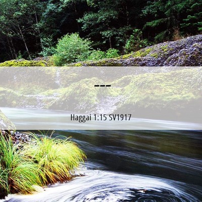 Picture 06 - Haggai 1:15 SV1917 -  - Bible Verse Picture