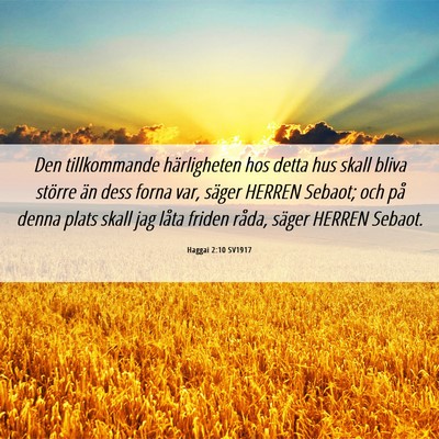 Picture 06 - Haggai 2:10 SV1917 - Den tillkommande härligheten hos detta hus skall - Bible Verse Picture
