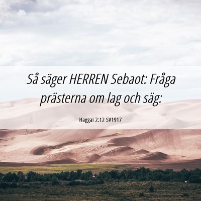 Picture 06 - Haggai 2:12 SV1917 - Så säger HERREN Sebaot: Fråga prästerna om - Bible Verse Picture