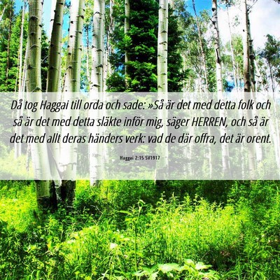 Picture 06 - Haggai 2:15 SV1917 - Då tog Haggai till orda och sade: »Så är det - Bible Verse Picture