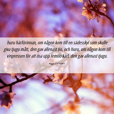 Picture 06 - Haggai 2:17 SV1917 - huru härförinnan, om någon kom till en - Bible Verse Picture