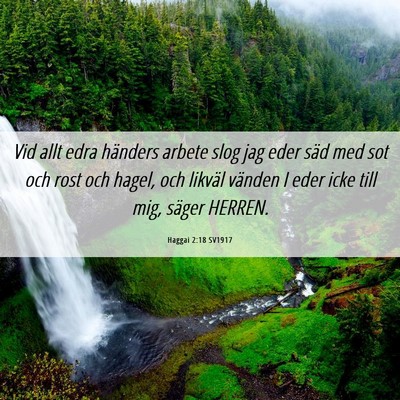 Picture 06 - Haggai 2:18 SV1917 - Vid allt edra händers arbete slog jag eder säd - Bible Verse Picture
