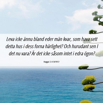 Picture 06 - Haggai 2:4 SV1917 - Leva icke ännu bland eder män kvar, som hava - Bible Verse Picture